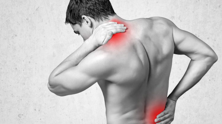 Rückenschmerzen Büro Alltag Training Tipps