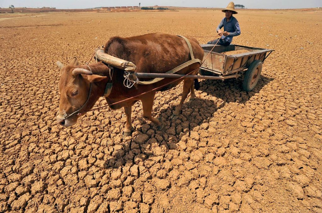 Dürre China Naturkatastrophe