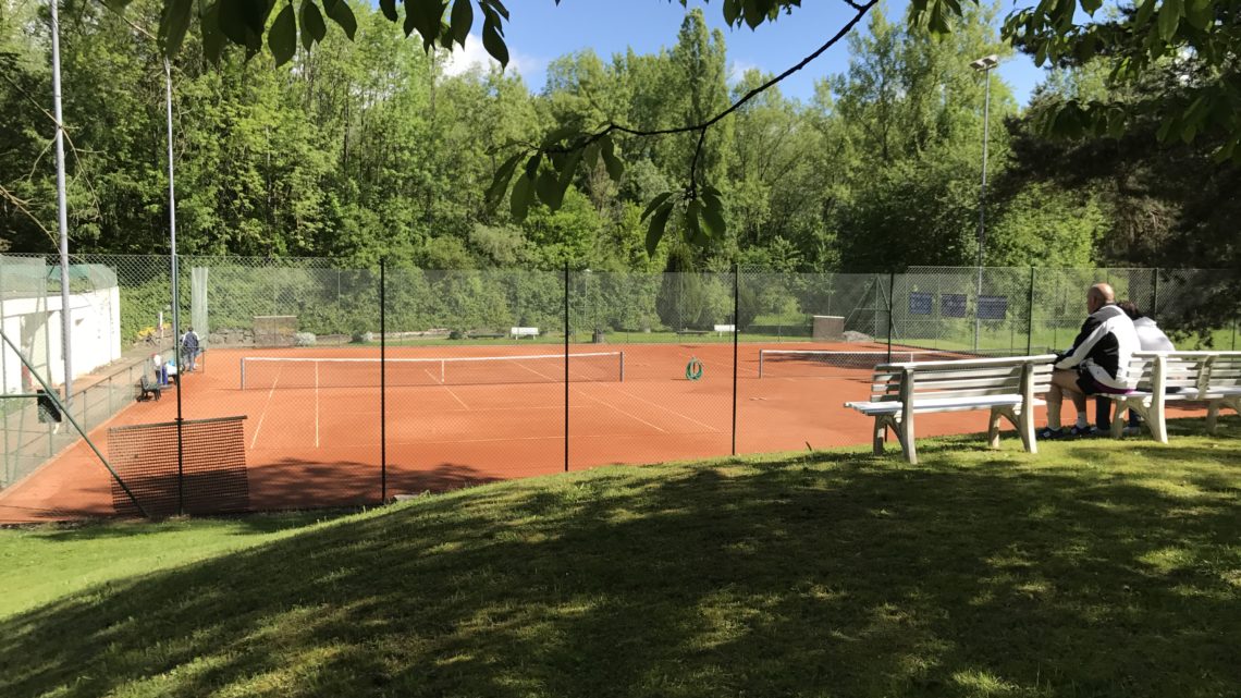 Tennis Club Geroldswil Tennisplätze