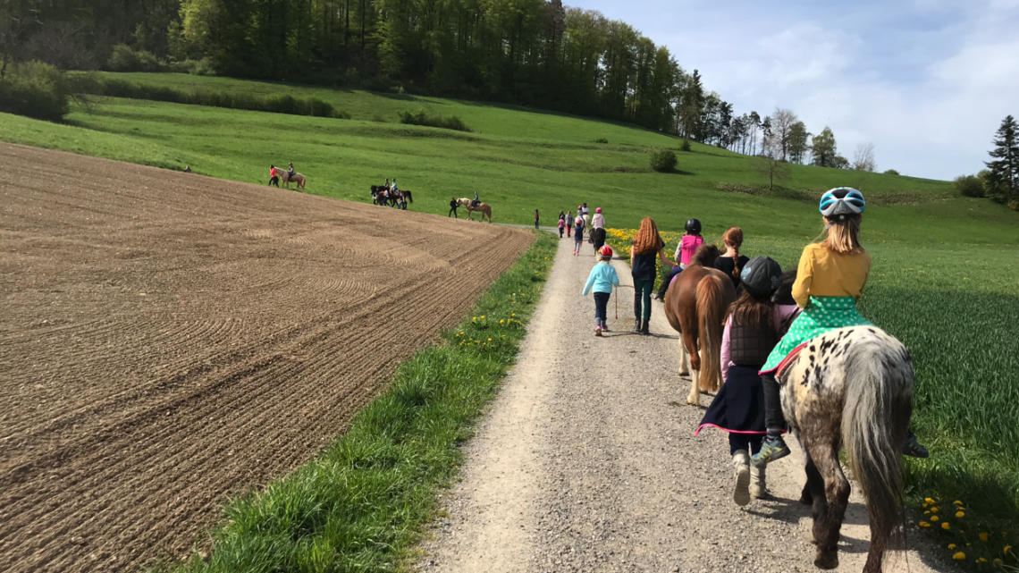 Reiterhof Hueb Oberembrach Begleitetes Ausreiten