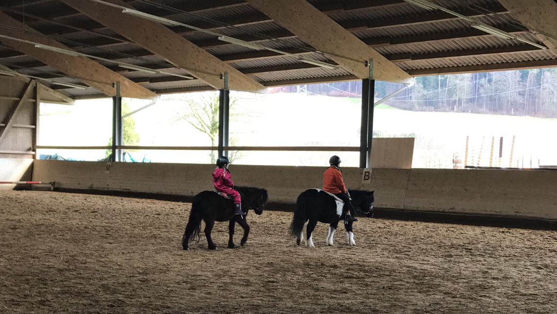 Reiterhof Hueb Oberembrach Pony Reiten zu zweit