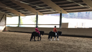Reiterhof Hueb Oberembrach Pony Reiten zu zweit