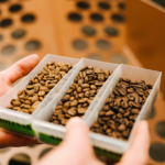 Hemmi Kaffee Zürich Sample trendsandstyles