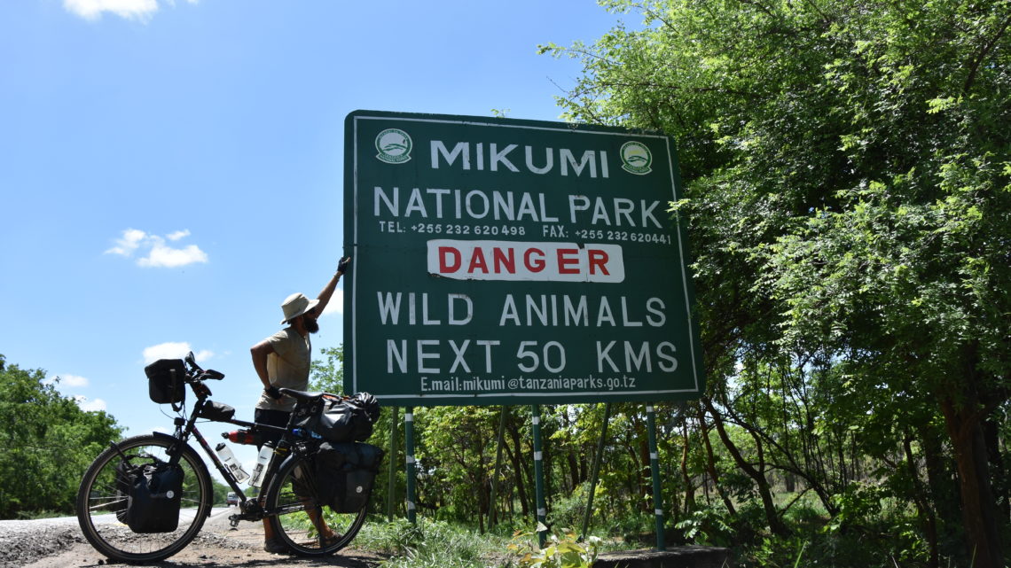 Lukas Steiner Südafrika Mikumi Nationalpark Tanzania trends&style